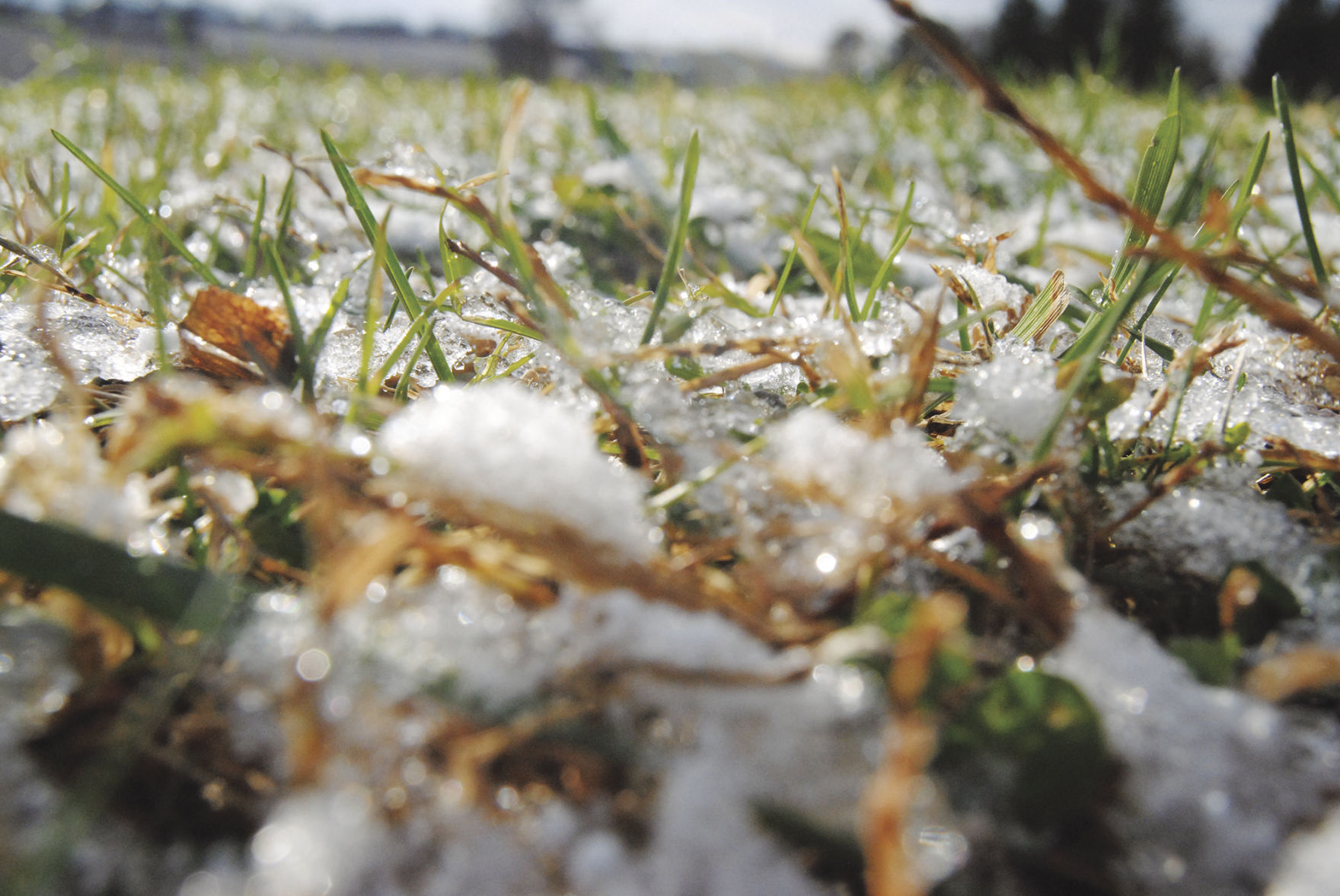 Fall turns to winter...